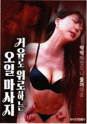 热播综艺