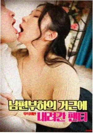 热播动漫